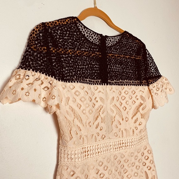 CLUB MONACO Womans Elegant Eyelet Sheath Lace Dress with Ruffle Sleeve Size 4 - Picture 10 of 13